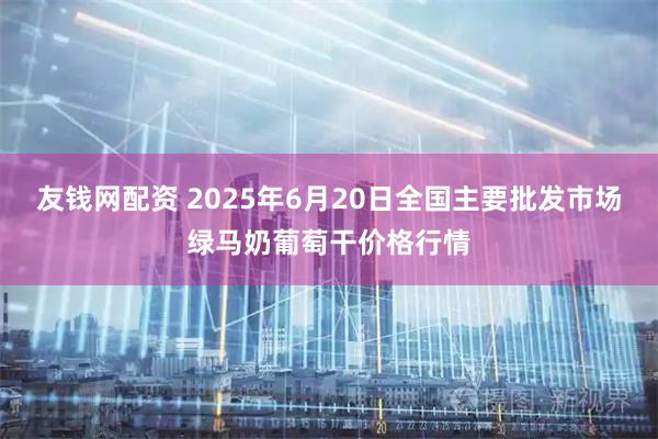 友钱网配资 2025年6月20日全国主要批发市场绿马奶葡萄干价格行情