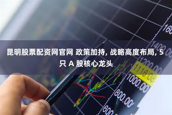 昆明股票配资网官网 政策加持, 战略高度布局, 5 只 A 股核心龙头