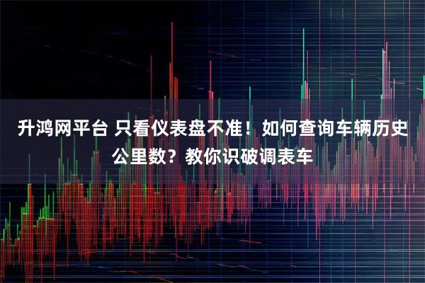 升鸿网平台 只看仪表盘不准！如何查询车辆历史公里数？教你识破调表车